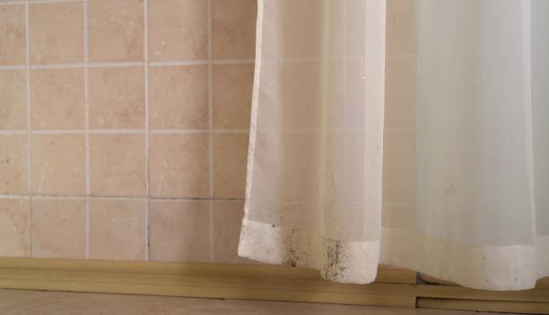 Best Residential Mold Inspection & Testing  in Tracy, CA