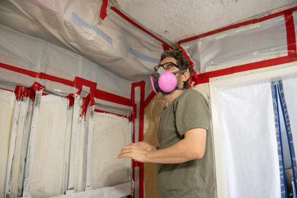 Best Asbestos and Lead Testing During Mold Inspection  in Tracy, CA
