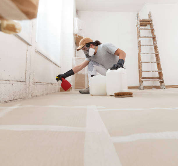 Best Biohazard Mold Removal  in Tracy, CA